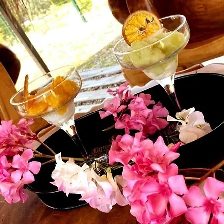 Lux In Nature Ekolia 别墅 博德鲁姆