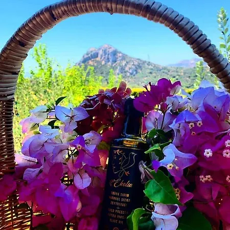 Lux In Nature Ekolia 博德鲁姆