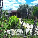Lux In Nature Ekolia *