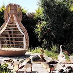 Lux In Nature Ekolia Villa Bodrum