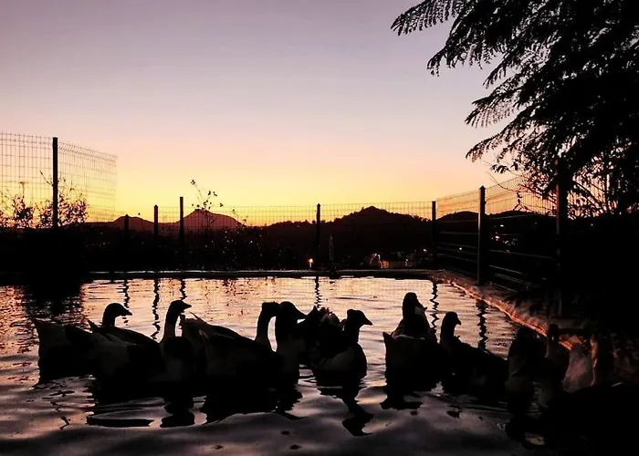 Lux In Nature Ekolia