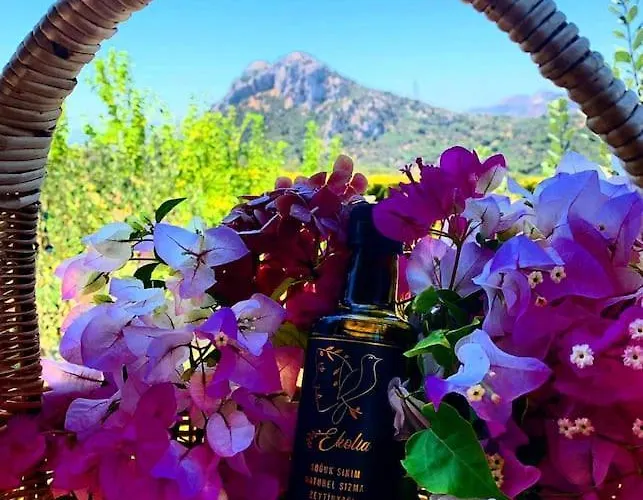 Lux In Nature Ekolia Bodrum