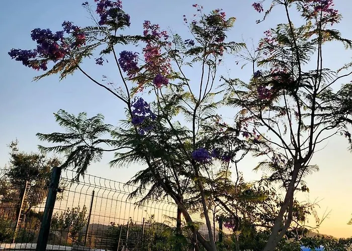 Lux In Nature Ekolia *