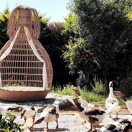 Lux In Nature Ekolia ヴィラ ボドルム