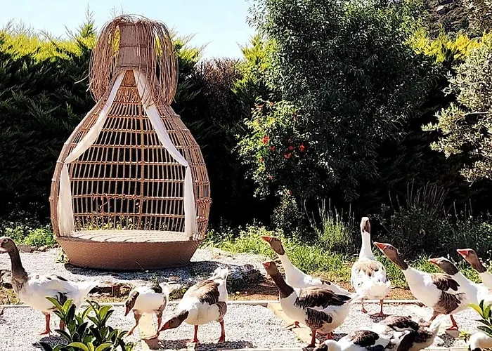 Lux In Nature Ekolia Villa Bodrum