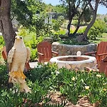 Lux In Nature Ekolia Villa Bodrum