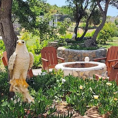 Lux In Nature Ekolia וילה בודרום