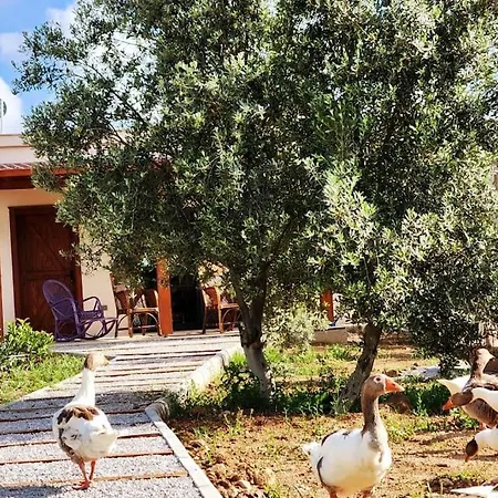 Lux In Nature Ekolia Bodrum