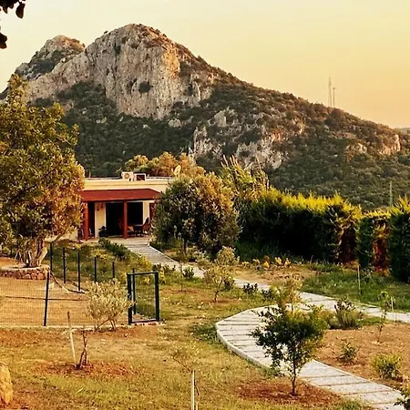 Vilă Lux In Nature Ekolia