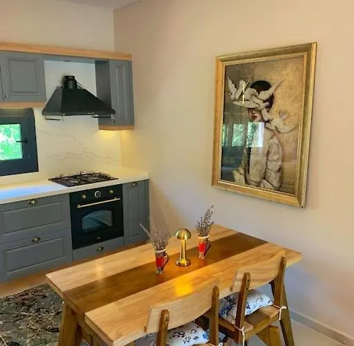 Vilă Lux In Nature Ekolia *