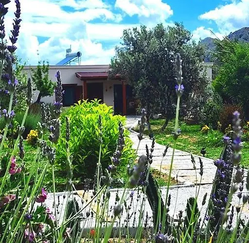 Lux In Nature Ekolia *