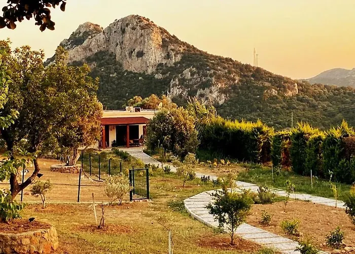 Vilă Lux In Nature Ekolia